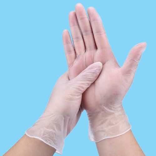 Disposable Gloves Image